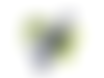 Reset with the Real Deal: Brainfood