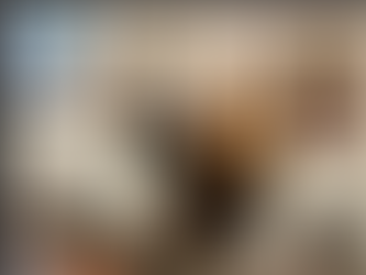 RESET FOR LIFE - HAVE NO FEAR