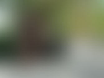 DAY 12 : FASTING FOR LOVE