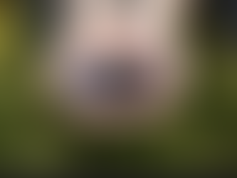 Reset - Part II - Manna