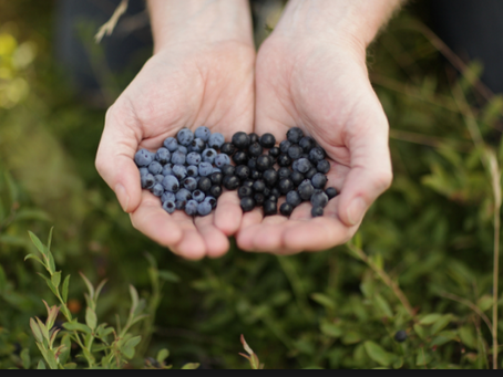 Reset - Part II - Manna