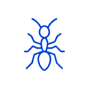 ant
