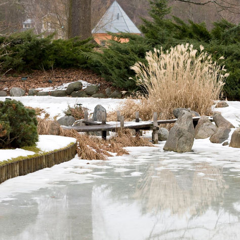 Therapeutic Gardening in Winter: A Peaceful Escape