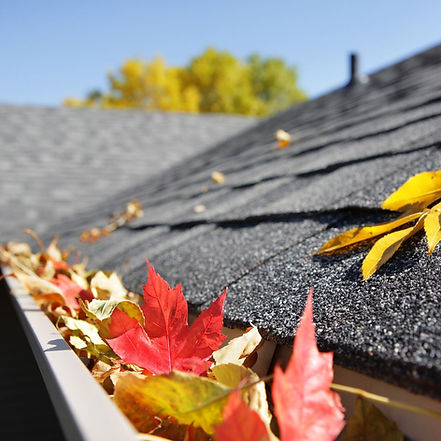 fall leaves in gutter