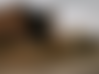 Emergency Demolition Services Dallas: What to Expect