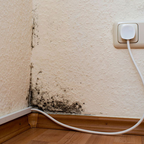 How to Prevent Mold After Water Damage