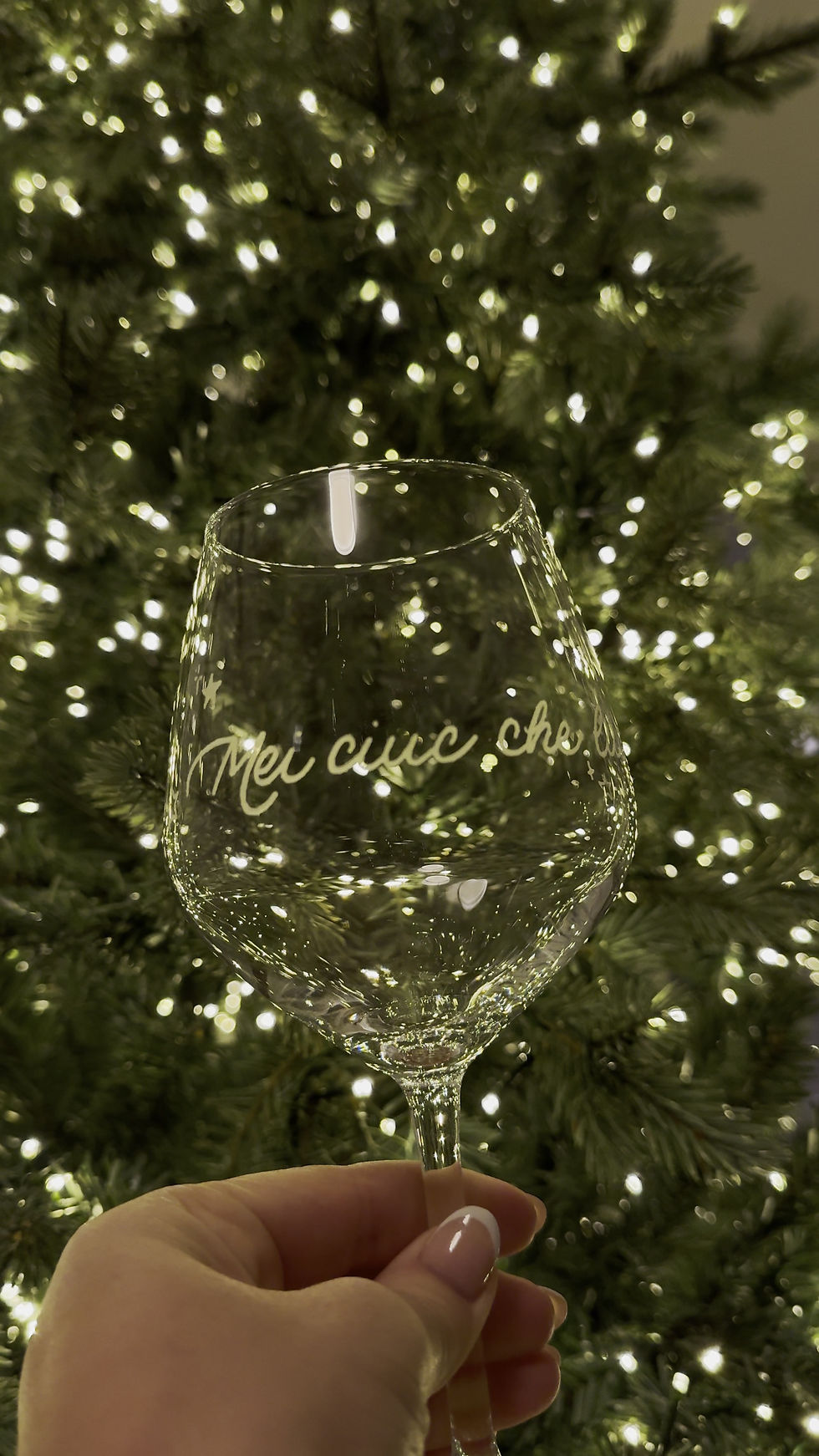 calice da vino con incisa frase in dialetto piacentino piacenza, idea regalo, mei ciuccio che luc