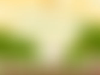 CHUYỆN CÂY LÊ 4 MÙA VÀ BÀI HỌC THẤM THÍA NGƯỜI CHA GỬI ĐẾN CÁC CON