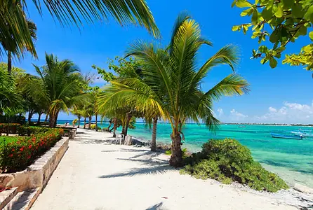 Akumal - 2.webp