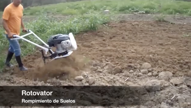 Rotovator