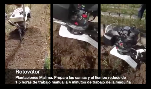 Rotovator