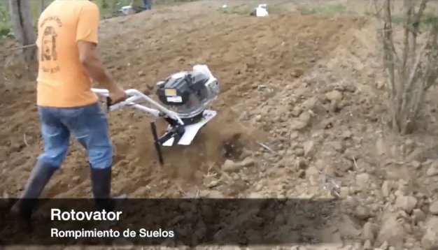 Rotovator