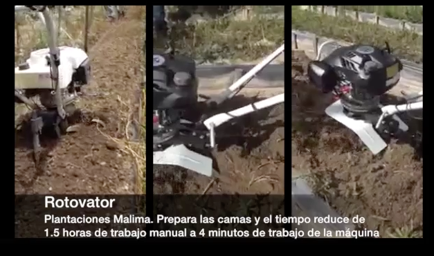 Rotovator