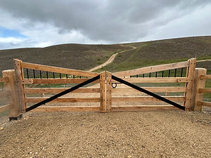 Macrocarpa gates.jpg
