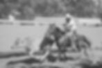 2do Campeonato de WA-406_websize.jpg