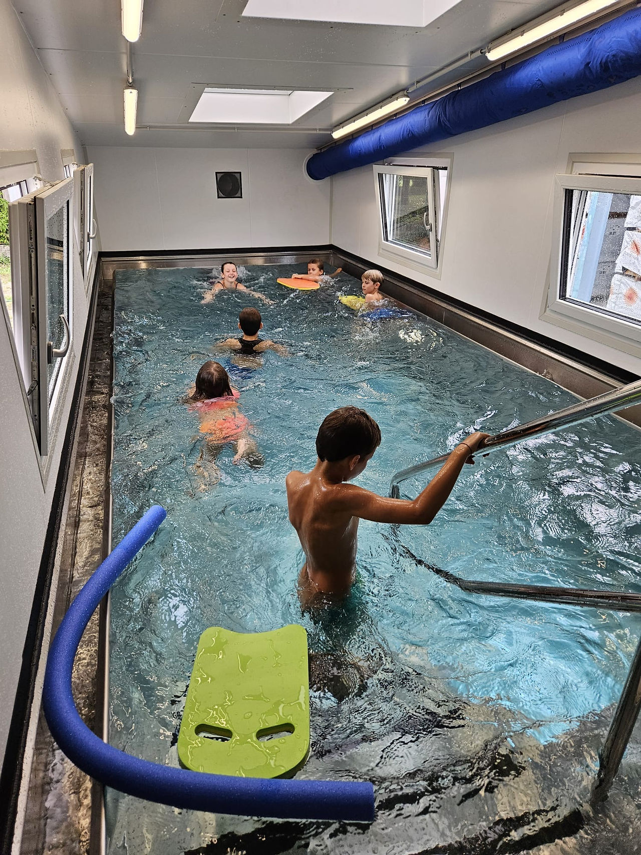 Sommerbären im Pool
