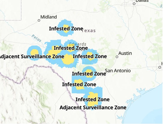 Infested zones.jpg