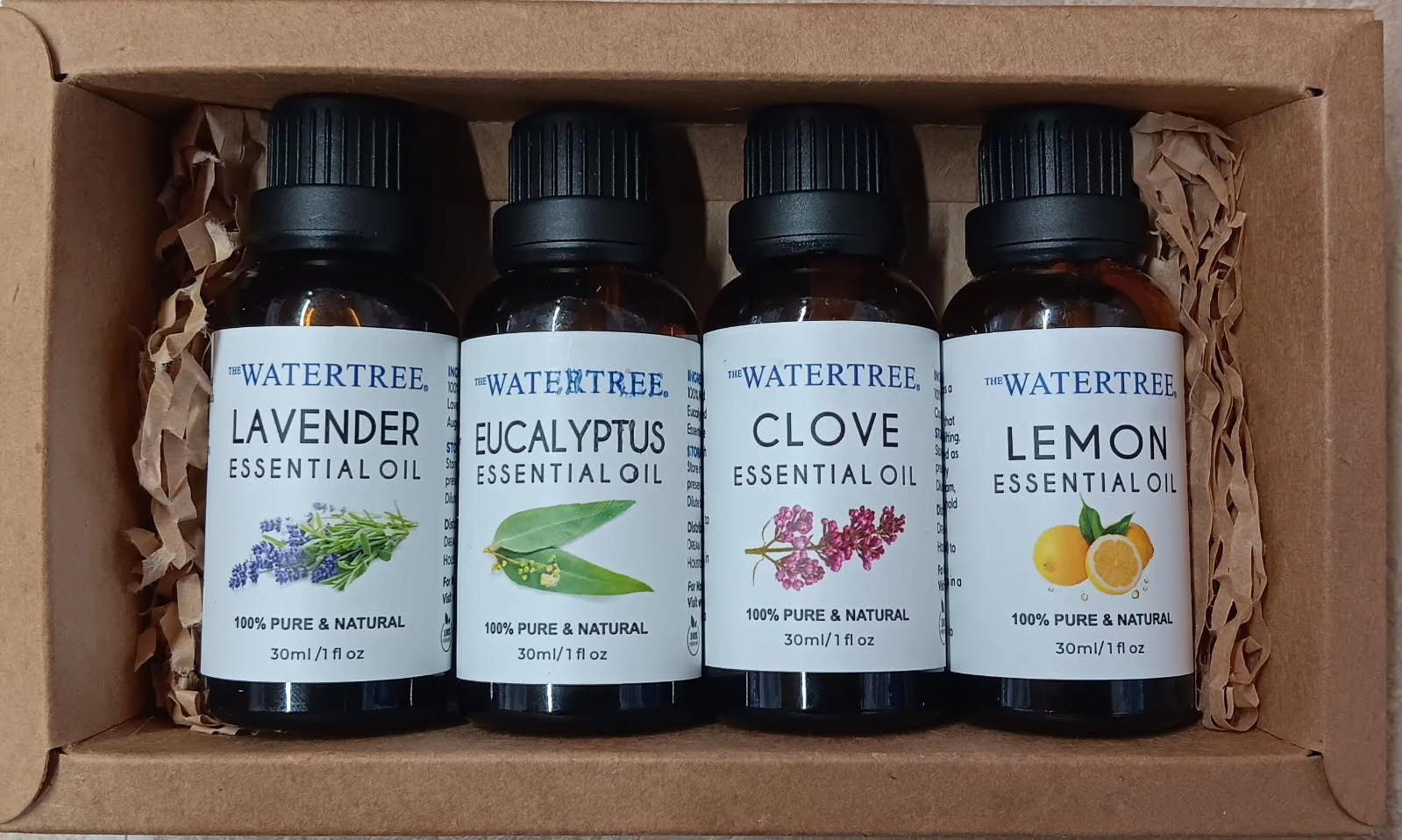 Olfactory Training Kit