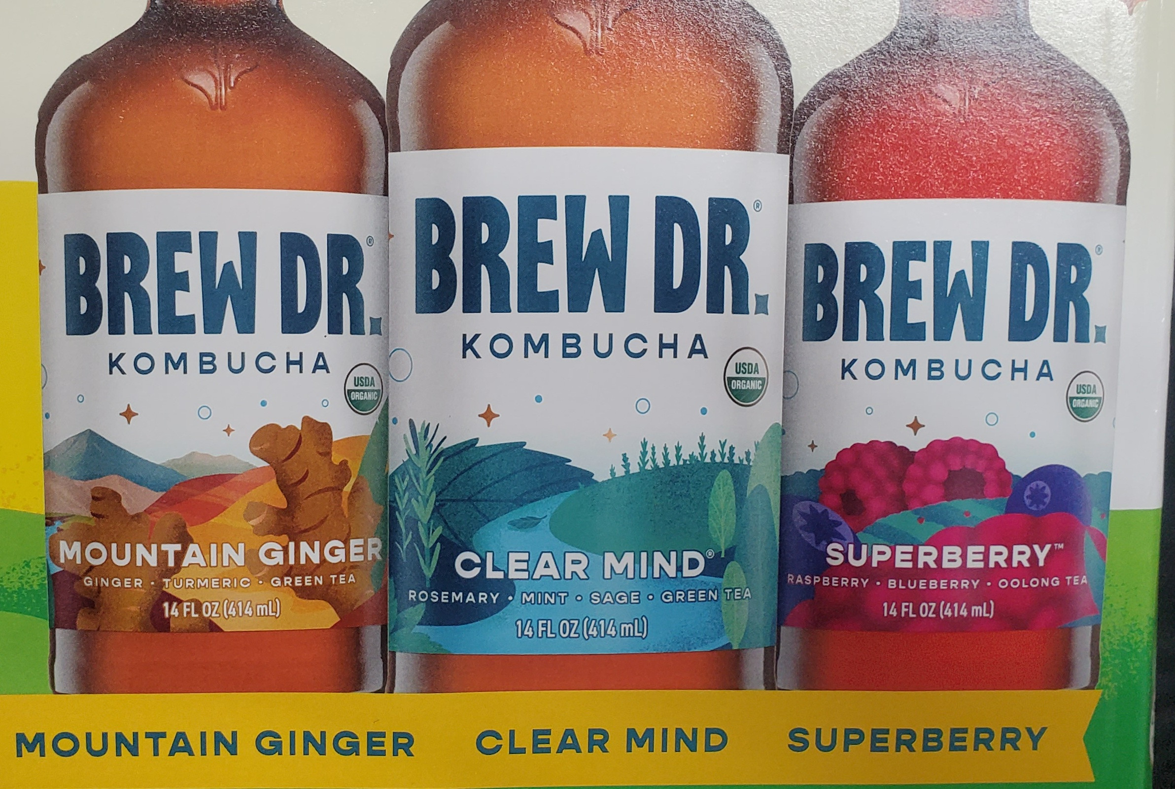 Brew Dr. Kombucha