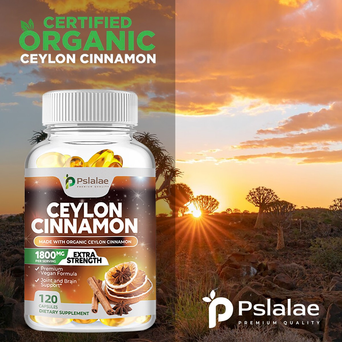 CEYLON CINNAMON CAPSULES