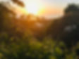 Sunset at Lagarta.jpg