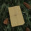 Thumbnail: champagne wrapping paper