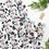 Thumbnail: Dalmatian wrapping paper