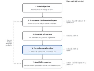 The sanctions paradox: an analytical framework