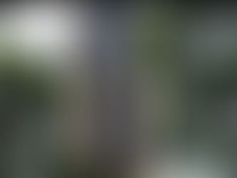 Banco Central mantém juros básicos e freia expectativa de crescimento em 2025