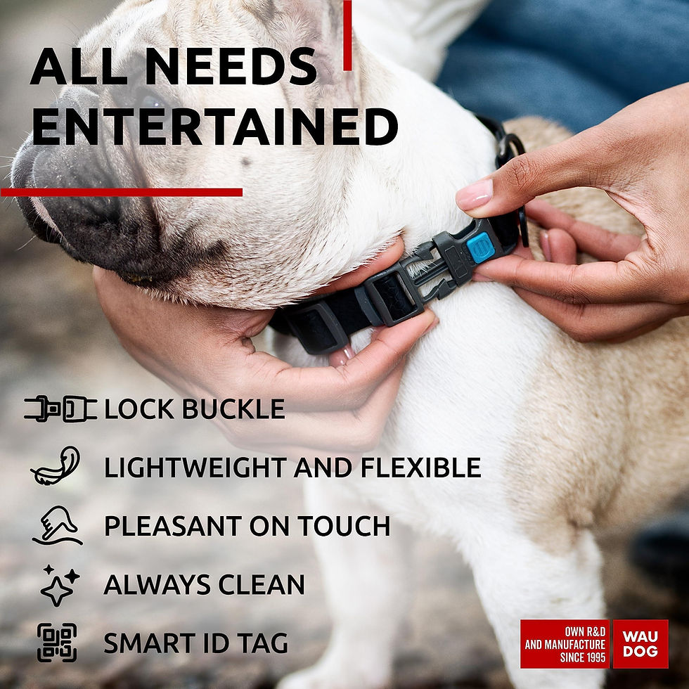 Miniatura: Black Waterproof Dog Collar Adjustable for Medium Dogs 1016 inch Neck