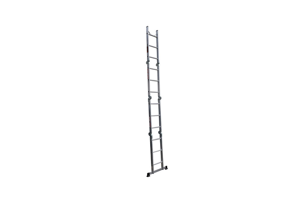 Thumbnail: Multi-Purpose Ladder