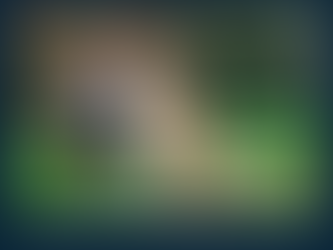 1035 - Avis important aux hypersensibles...