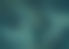 NM_Teal_web.jpg
