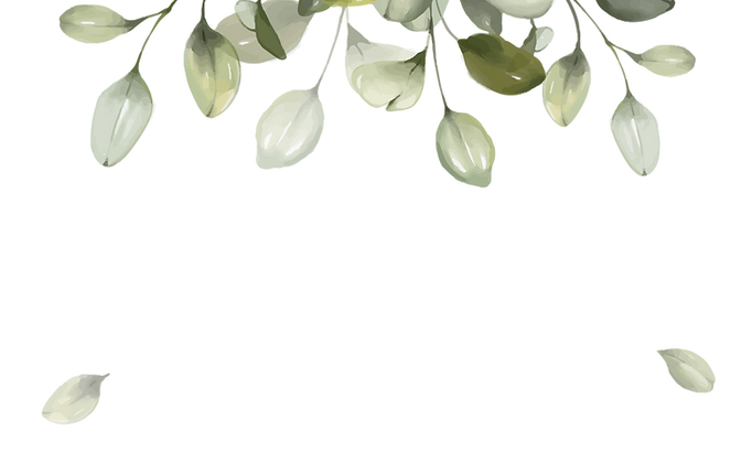PLANTAS-04.png