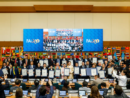 FAO oficializa reconhecimento internacional do Sistema Tradicional e Agroecológico de Erva-mate