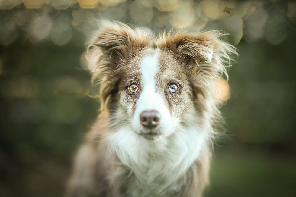 Photo by Emily Taylor.