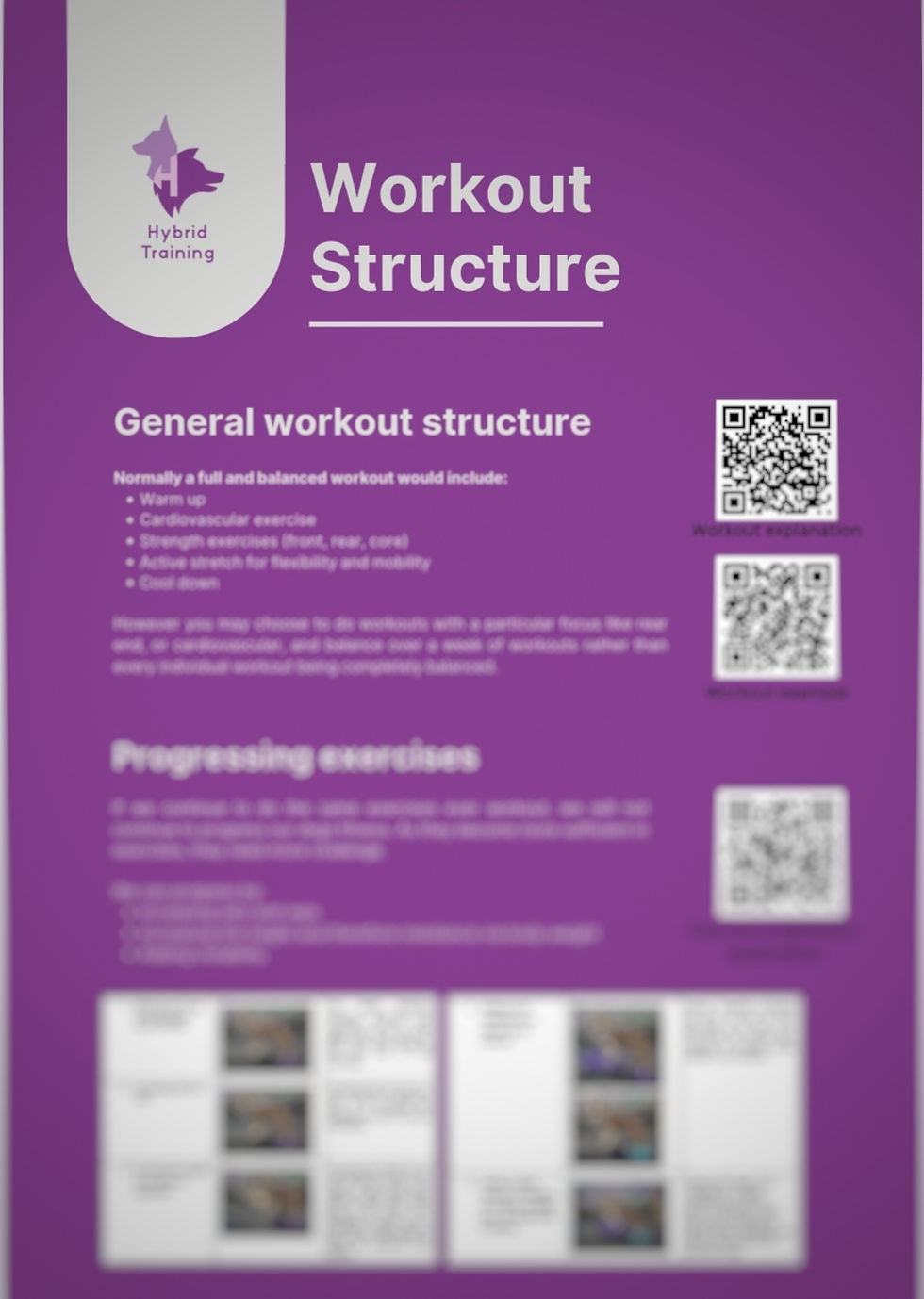 Thumbnail: HDT Canine Fitness Logbook 2025 NZ only