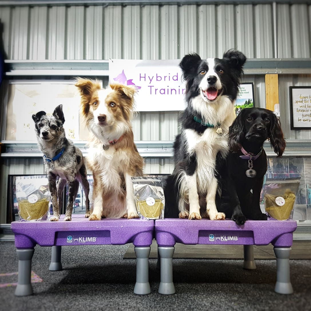 Sparkle with Seaweed