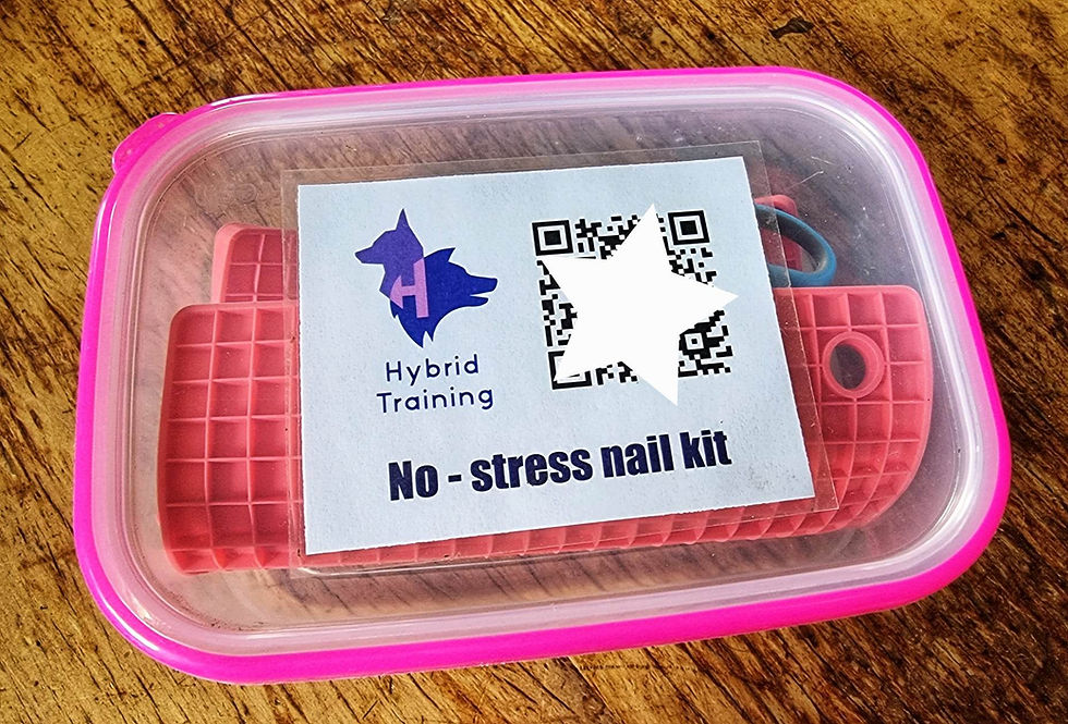 HYBRID TRAINING No Stress Nail Kit