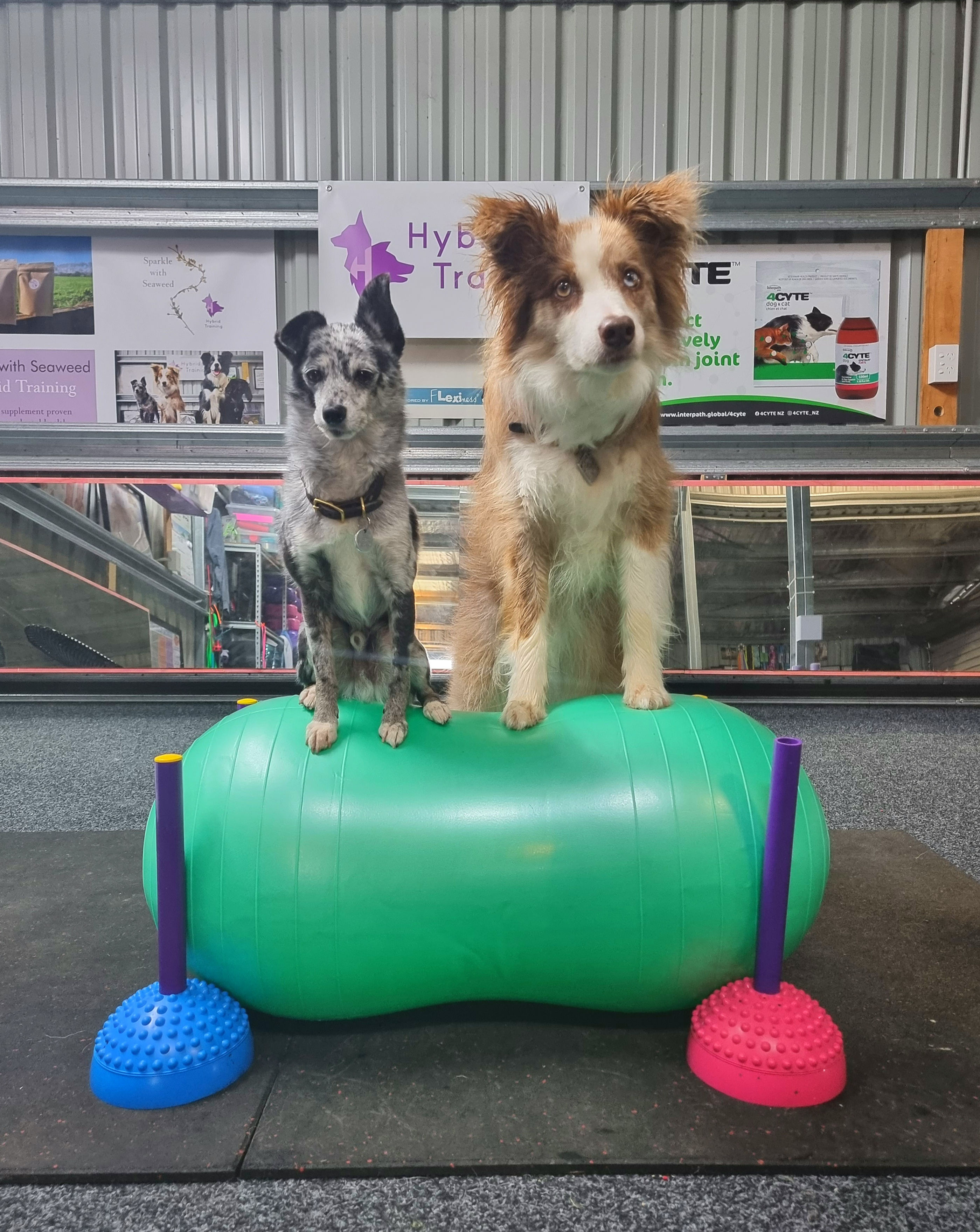 Green balance peanut