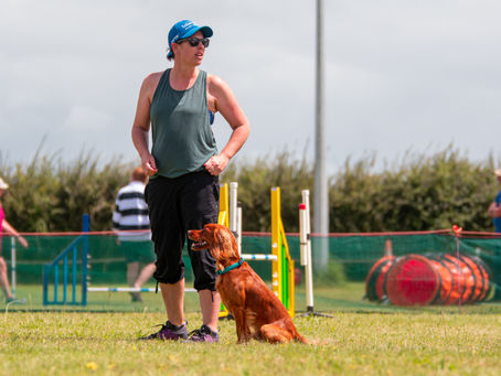Does your sports dog get breaks?