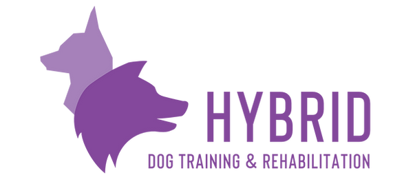 Hybrid (Secondary - Colour).png