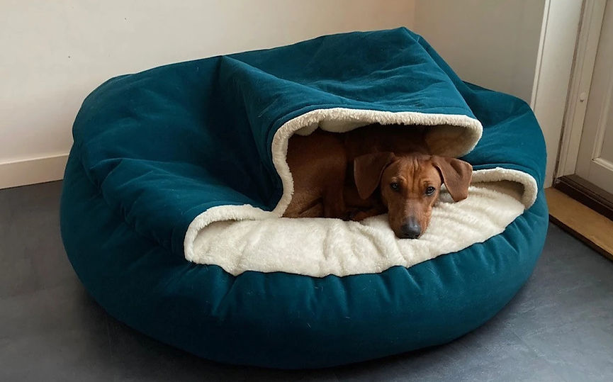 cavebed_edited.jpg