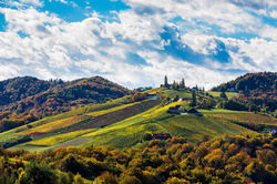 2879_c_steiermark_tourismus_harry_schiffer