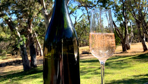 Grace Sparkling Pinot Noir -  Method Traditionale