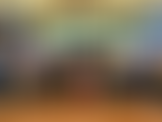 Disaster preparedness through emergency operations training