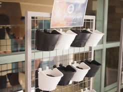 HRM Society promotes sustainability  through Greenscape initiative  