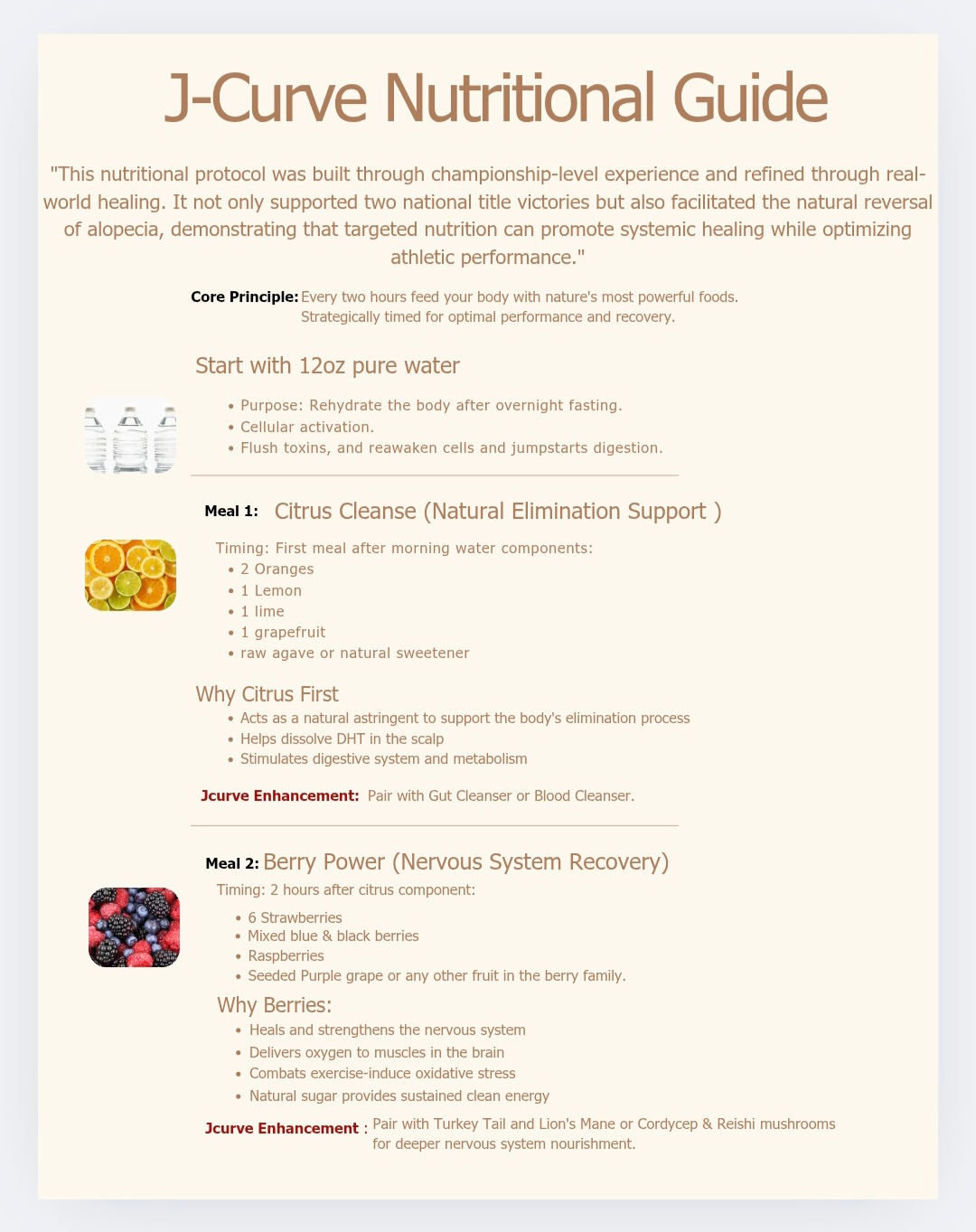 J-Curve Nutritional Guide