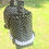 Thumbnail: A video showing a"Whimsical mermaid beaded handbag with iridescent black pearls"