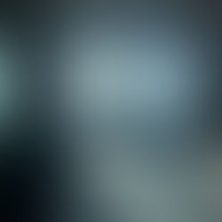 整理整頓をする